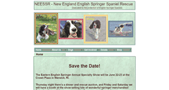 Desktop Screenshot of essrescue.org